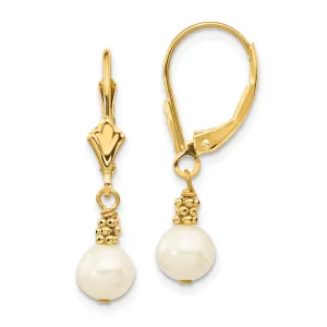 14k Yellow Gold Pearl Leverback Earrings