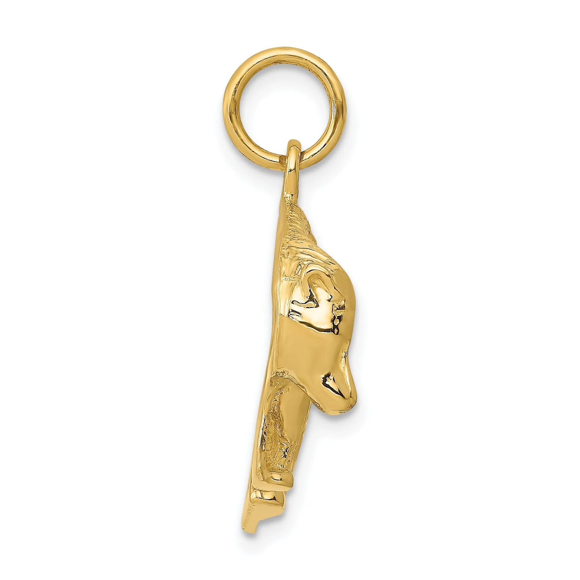 14k Yellow Gold Polished Textured Finish Bear Walking Design Charm Pendant